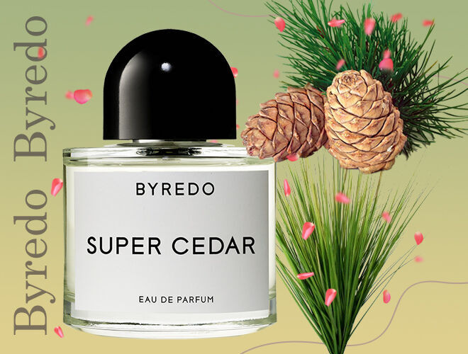 11 лучших ароматов Byredo: описание парфюма и каждого аромата духов - Я ...