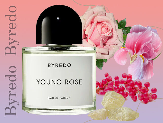 Янг роуз. Byredo young Rose. Самые популярные духи Byredo. Byredo духи для женщин самые популярные. Byredo young Rose картинки.