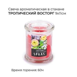 SPAAS Свеча-столбик ароматическая Цветущая магнолия